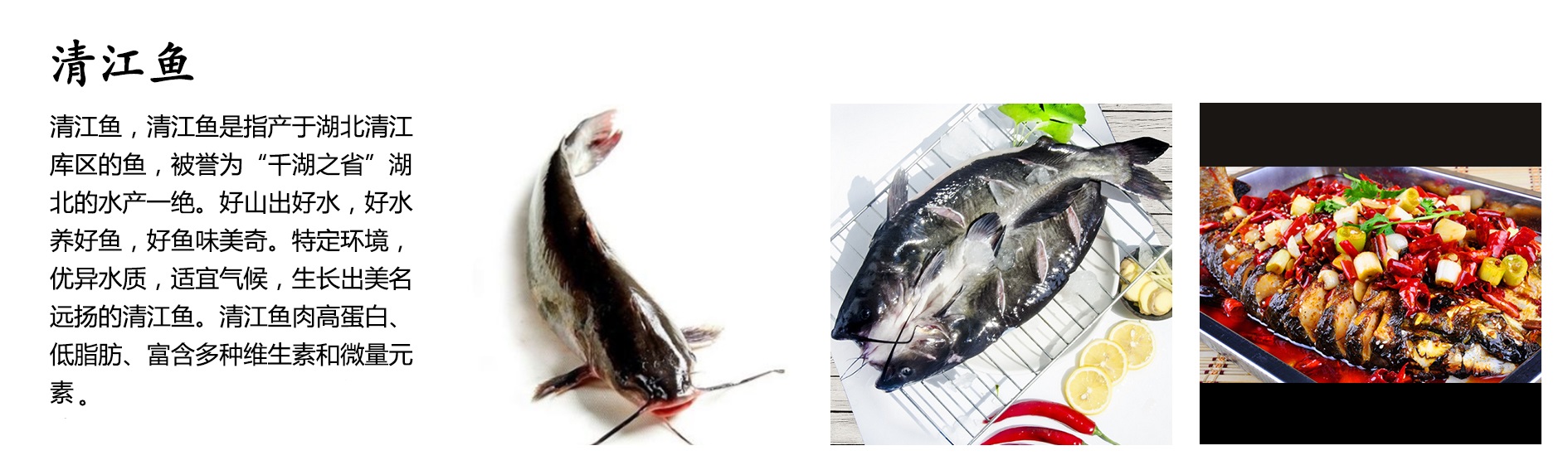 清江鱼.jpg